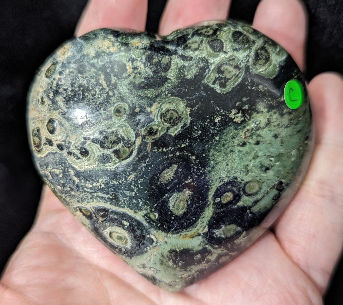 Puffy Kambaba Jasper Heart ~ Green Stromatolite Jasper