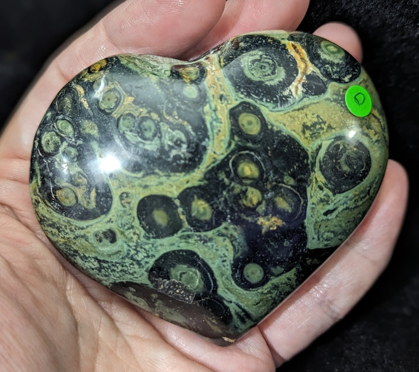 Puffy Kambaba Jasper Heart ~ Green Stromatolite Jasper