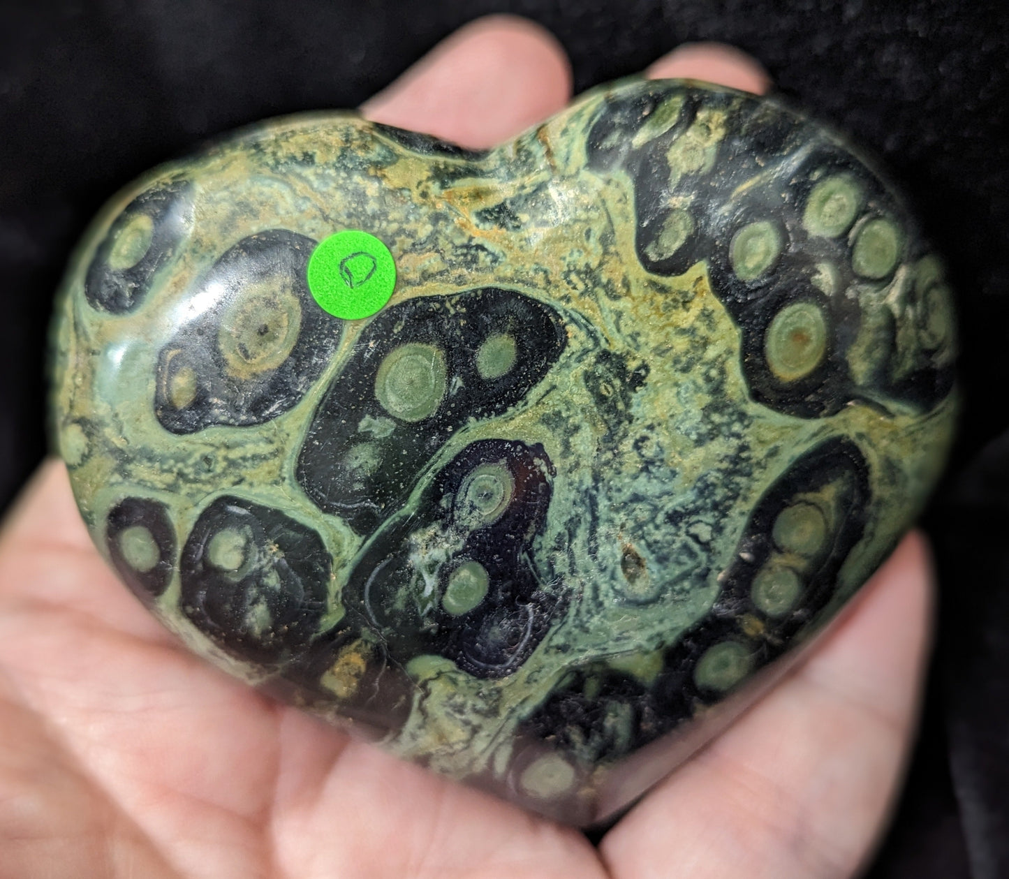 Puffy Kambaba Jasper Heart ~ Green Stromatolite Jasper