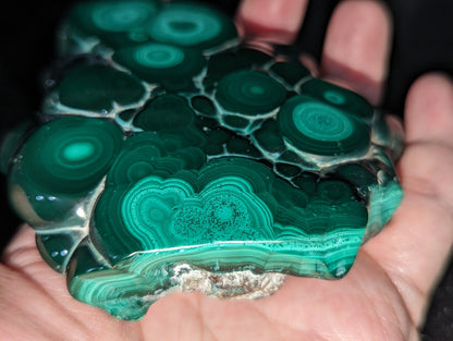 Polished African Malachite Slab ~ Rough Malachite