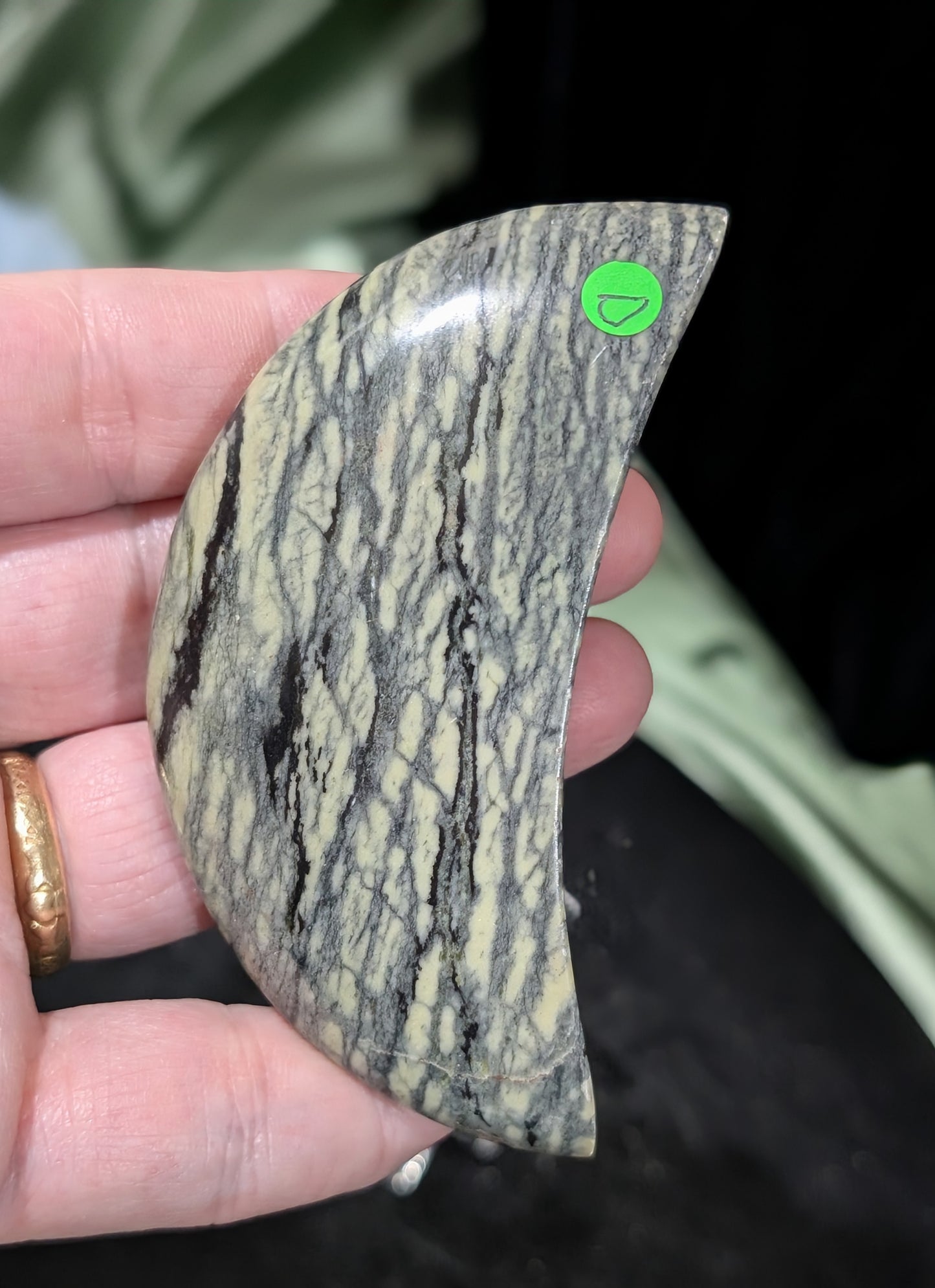 Serpentine Moons With Dendritic Patterns