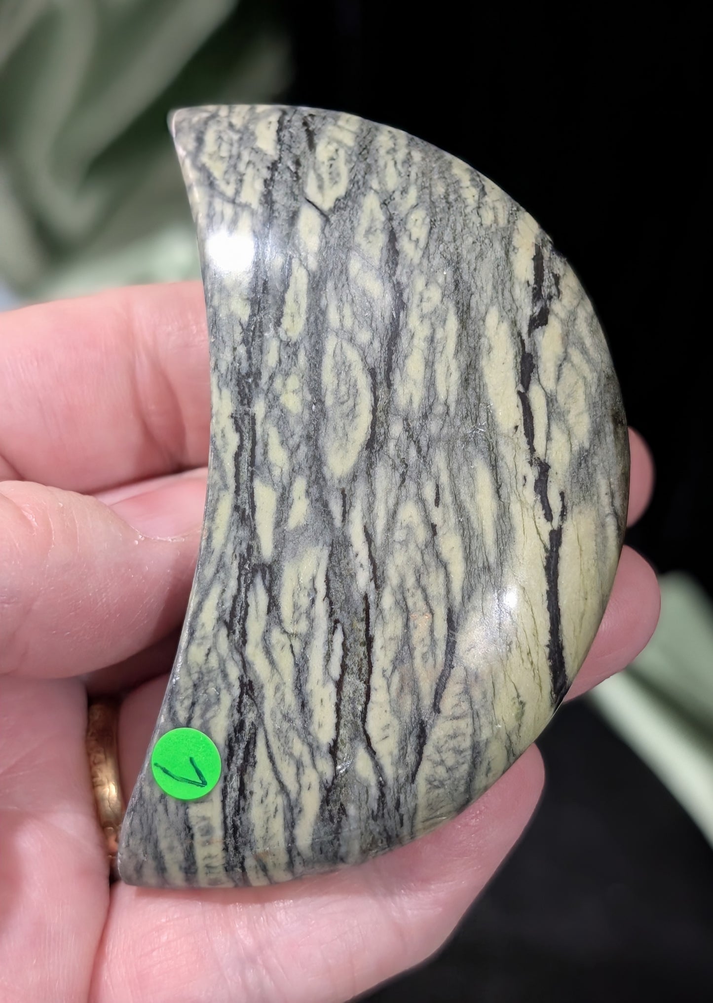 Serpentine Moons With Dendritic Patterns