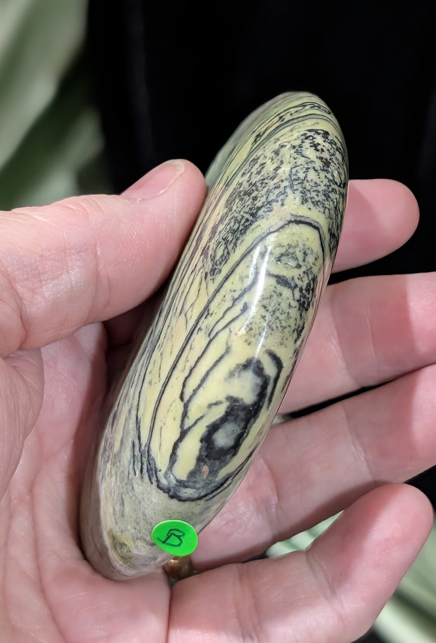 Serpentine Moons With Dendritic Patterns