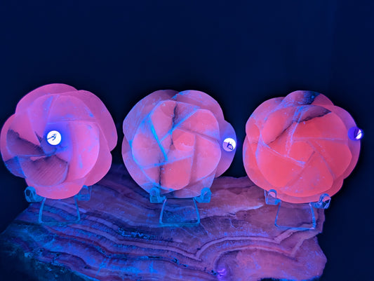 UV Reactive Smoky Pink Mangano Calcite Roses