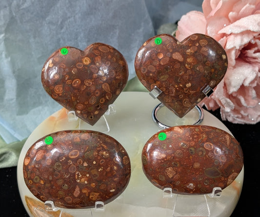 Bird's Eye Jasper Hearts and Palms ~ Orbicular Rhyolite Jasper