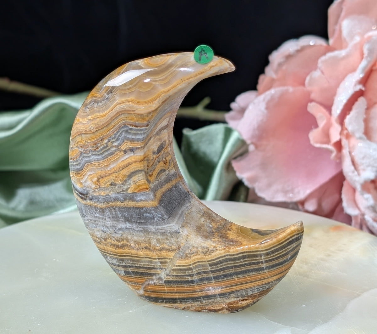 Pakistani Banded Bumblebee Jasper Moon