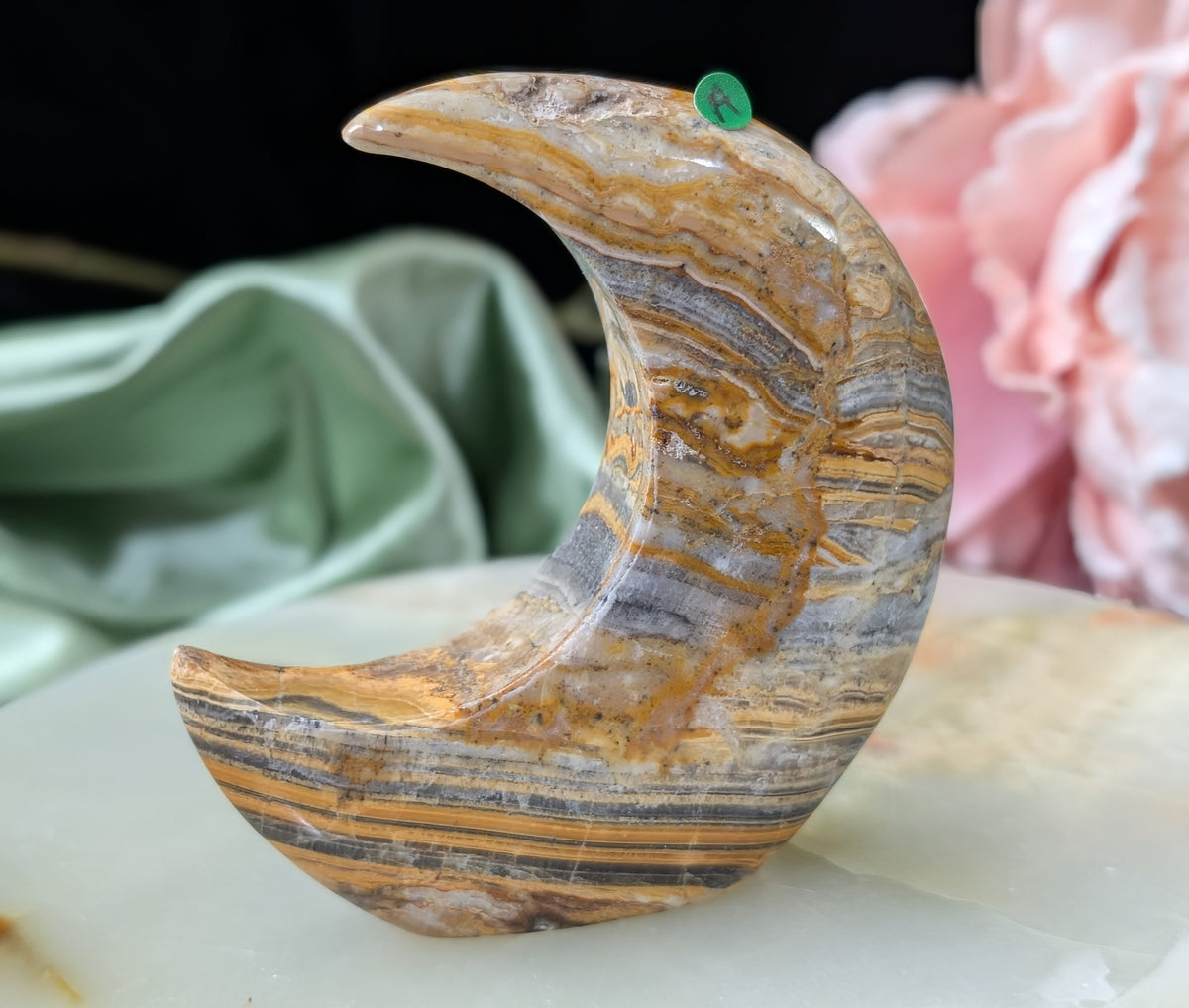 Pakistani Banded Bumblebee Jasper Moon