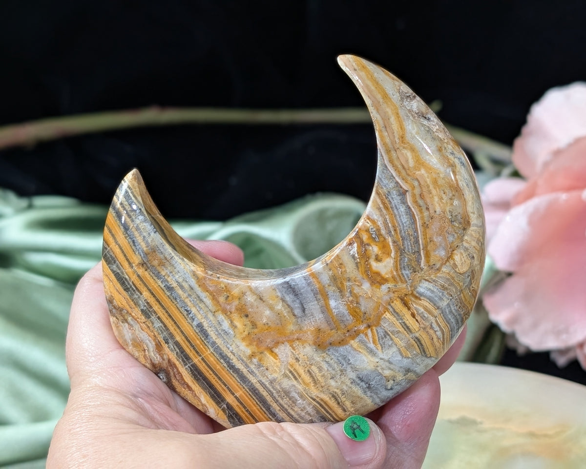 Pakistani Banded Bumblebee Jasper Moon