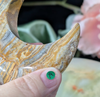 Pakistani Banded Bumblebee Jasper Moon