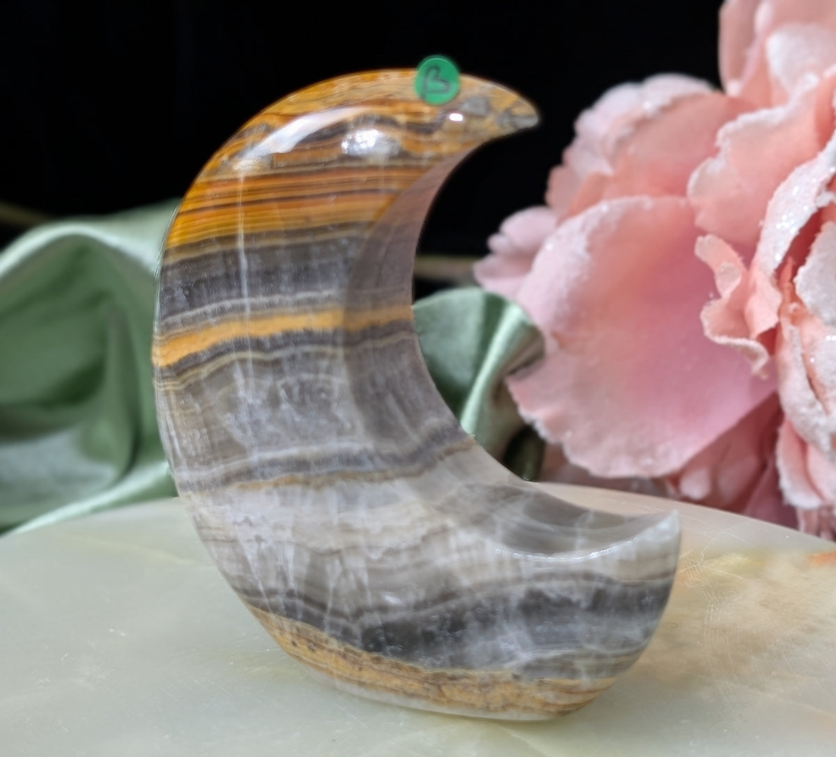 Pakistani Banded Bumblebee Jasper Moon
