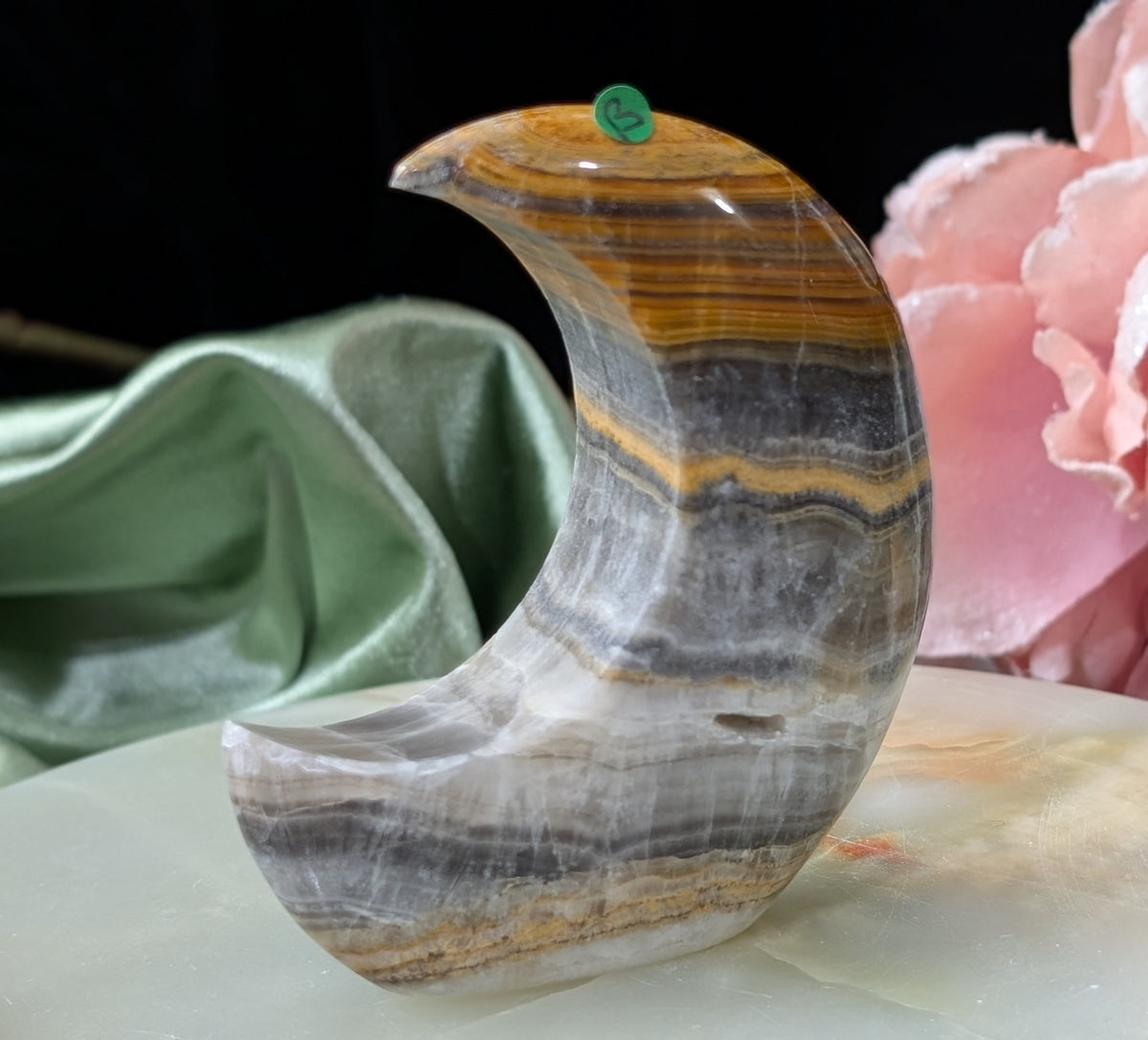 Pakistani Banded Bumblebee Jasper Moon