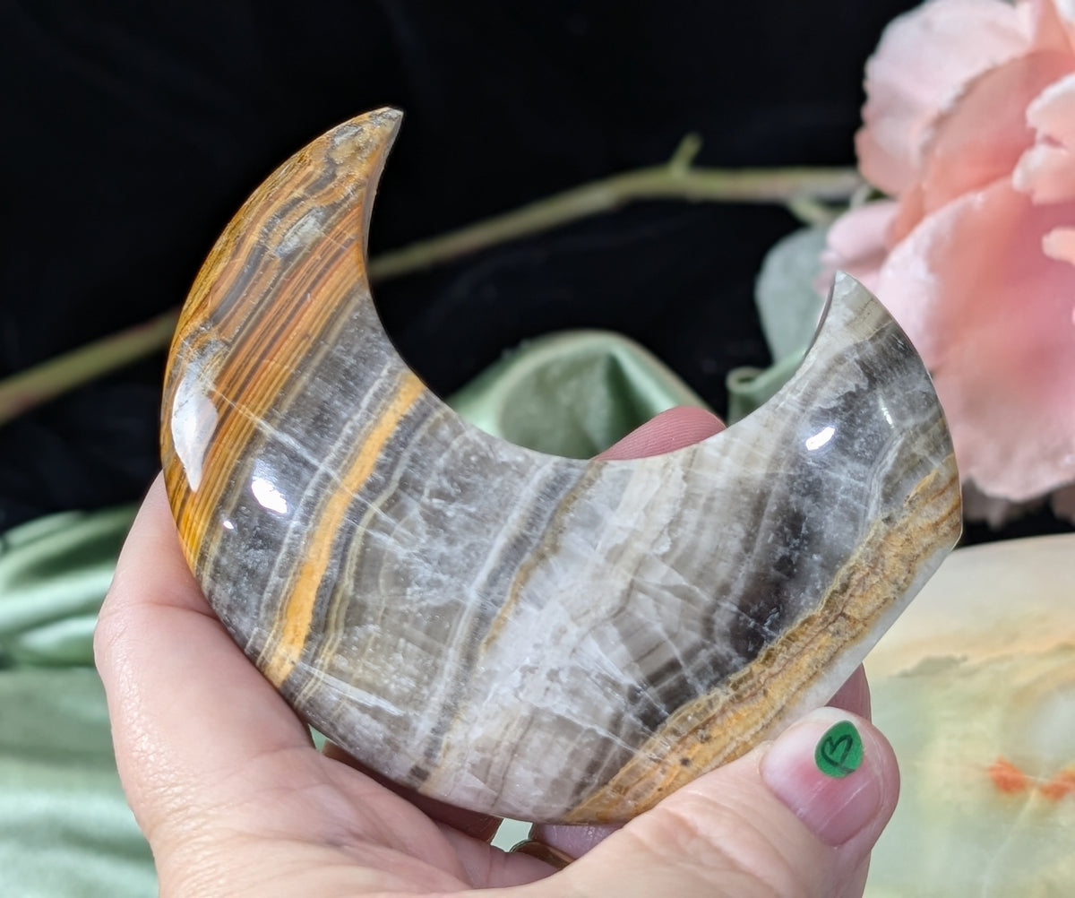 Pakistani Banded Bumblebee Jasper Moon