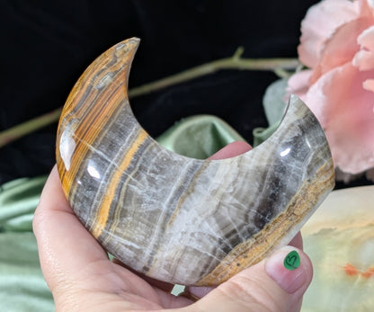 Pakistani Banded Bumblebee Jasper Moon