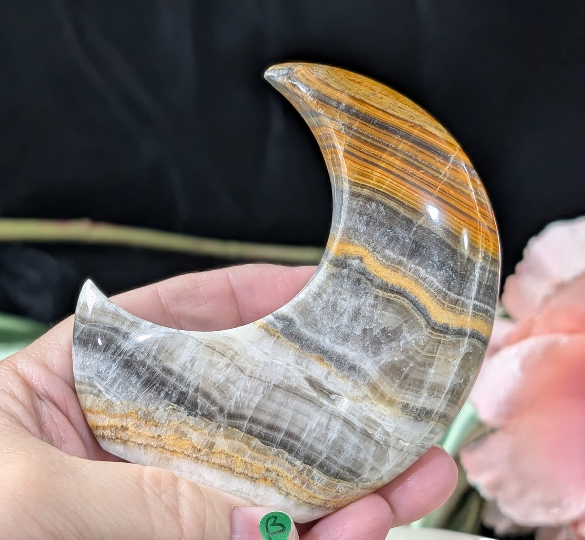 Pakistani Banded Bumblebee Jasper Moon