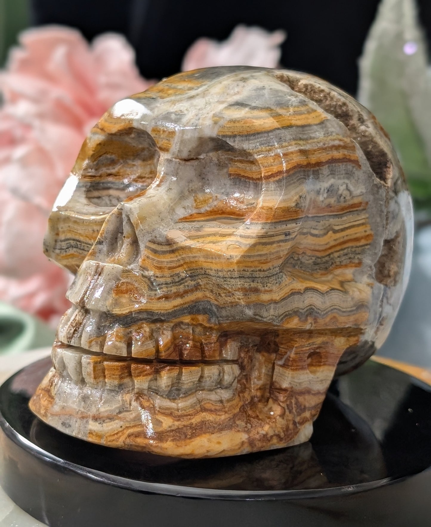 Pakistani Bumblebee Jasper Skull