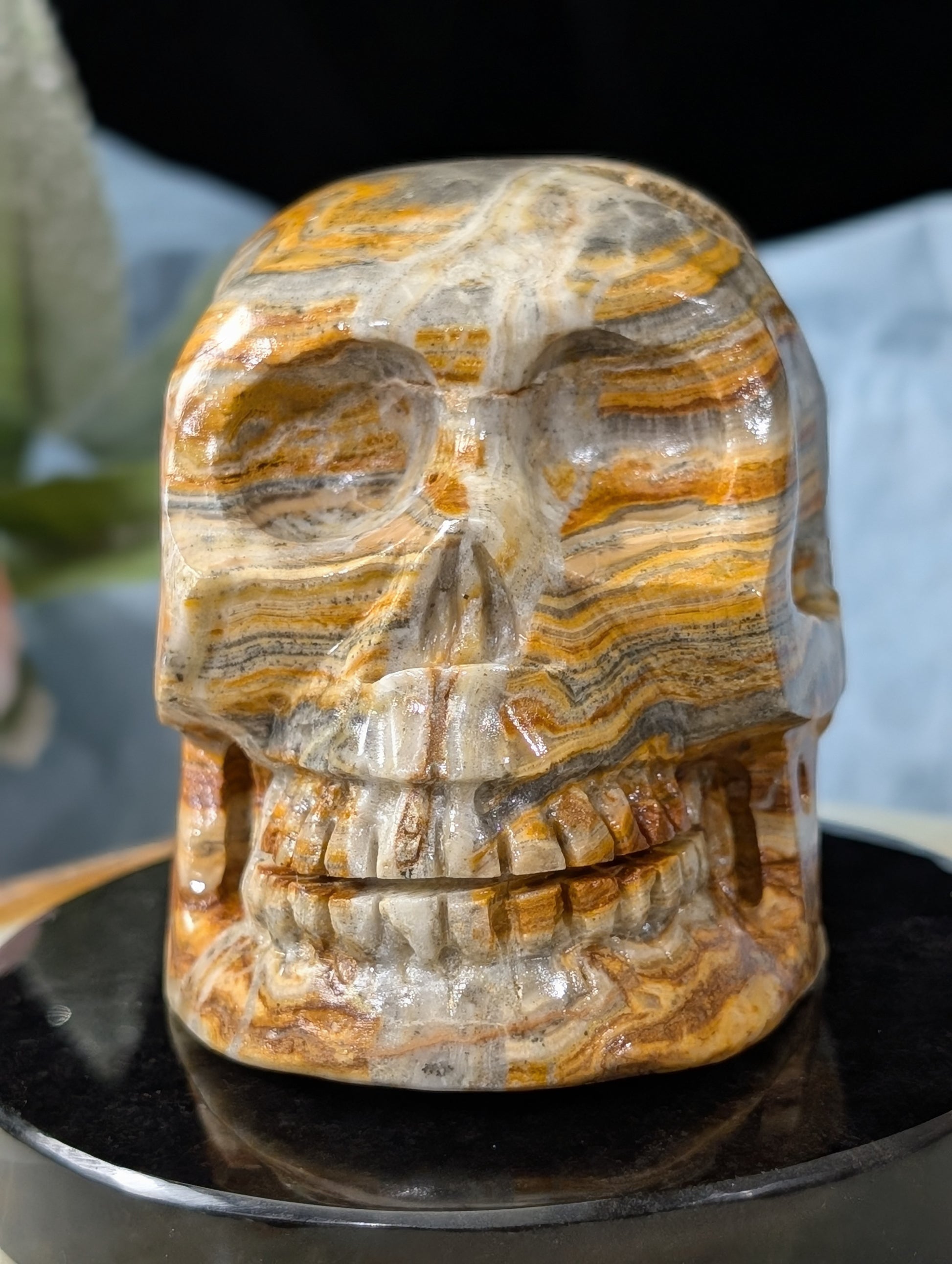 Pakistani Bumblebee Jasper Skull