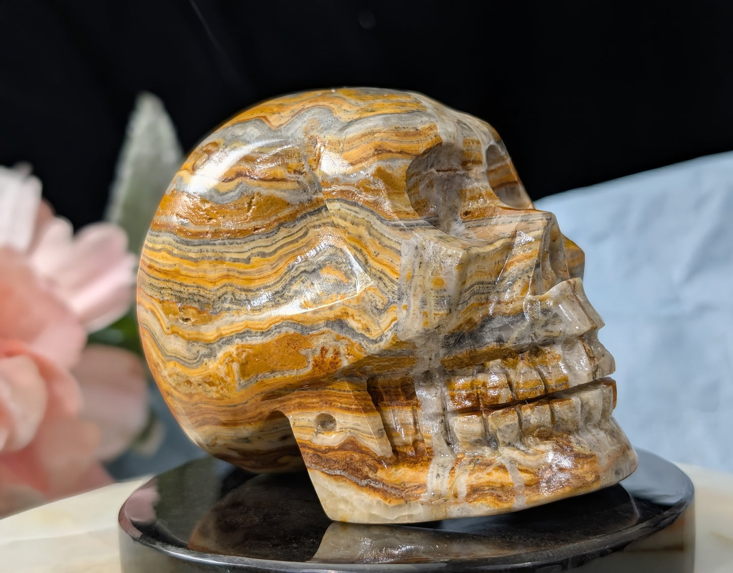 Pakistani Bumblebee Jasper Skull