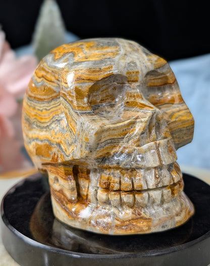 Pakistani Bumblebee Jasper Skull