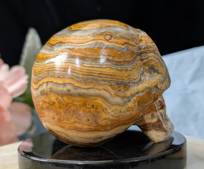 Pakistani Bumblebee Jasper Skull