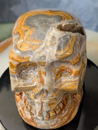 Pakistani Bumblebee Jasper Skull