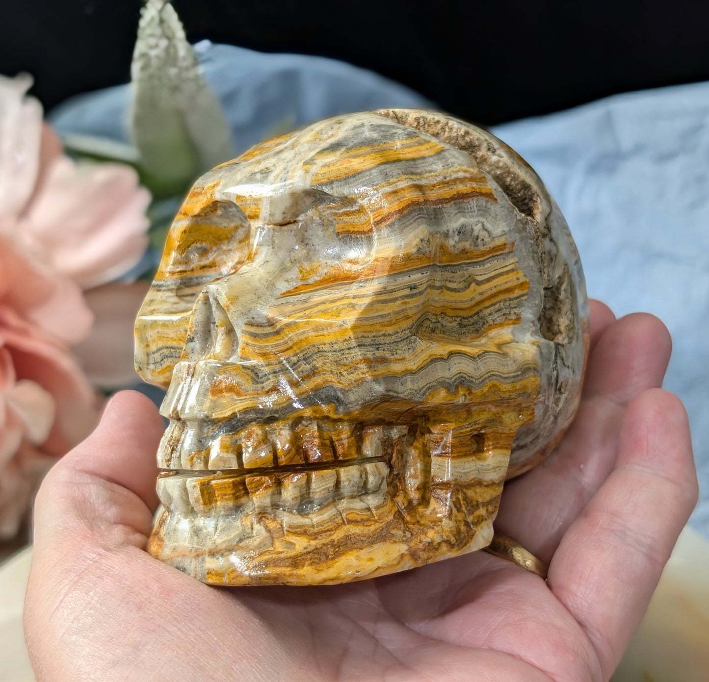 Pakistani Bumblebee Jasper Skull