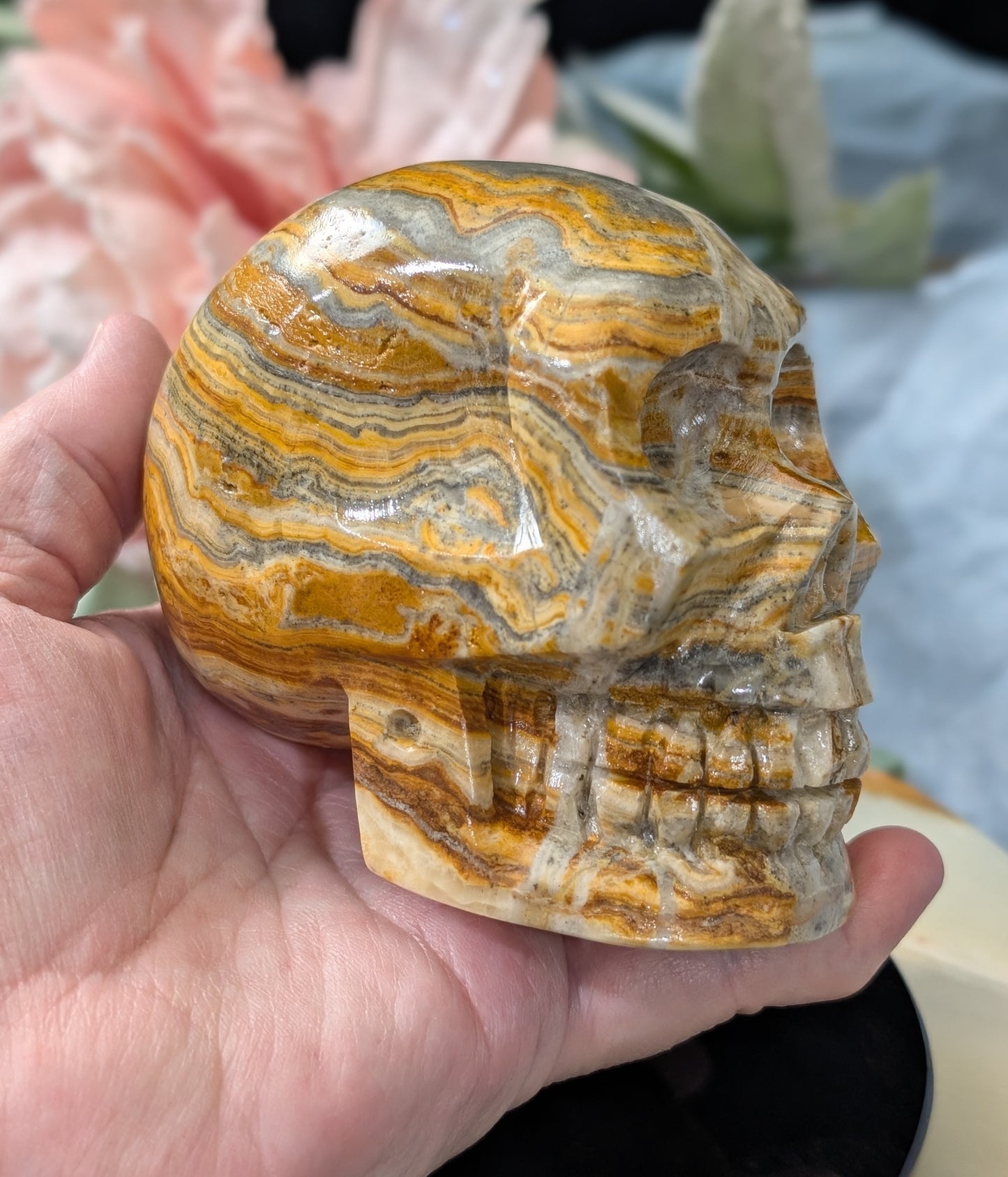 Pakistani Bumblebee Jasper Skull