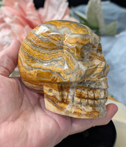 Pakistani Bumblebee Jasper Skull