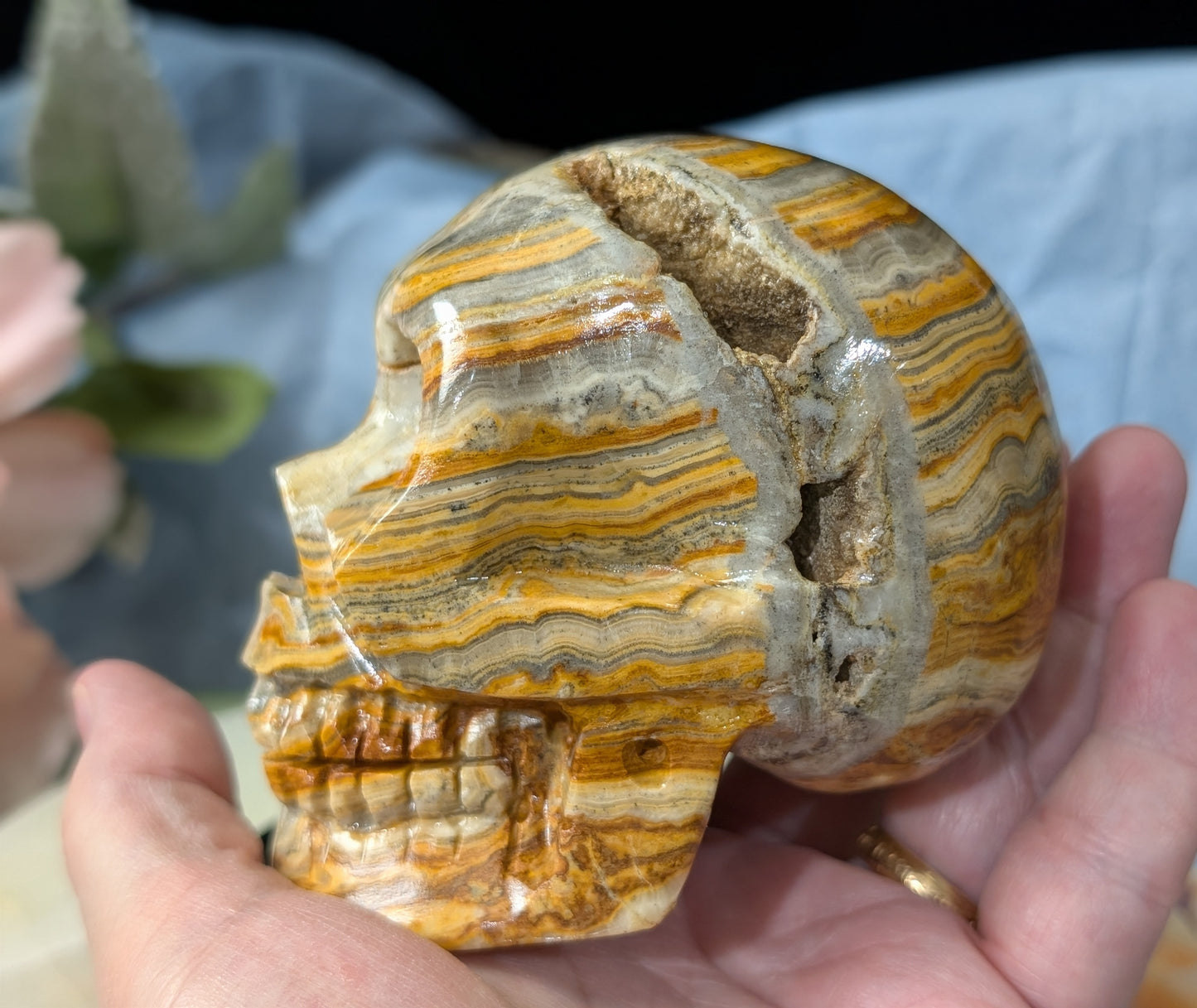 Pakistani Bumblebee Jasper Skull