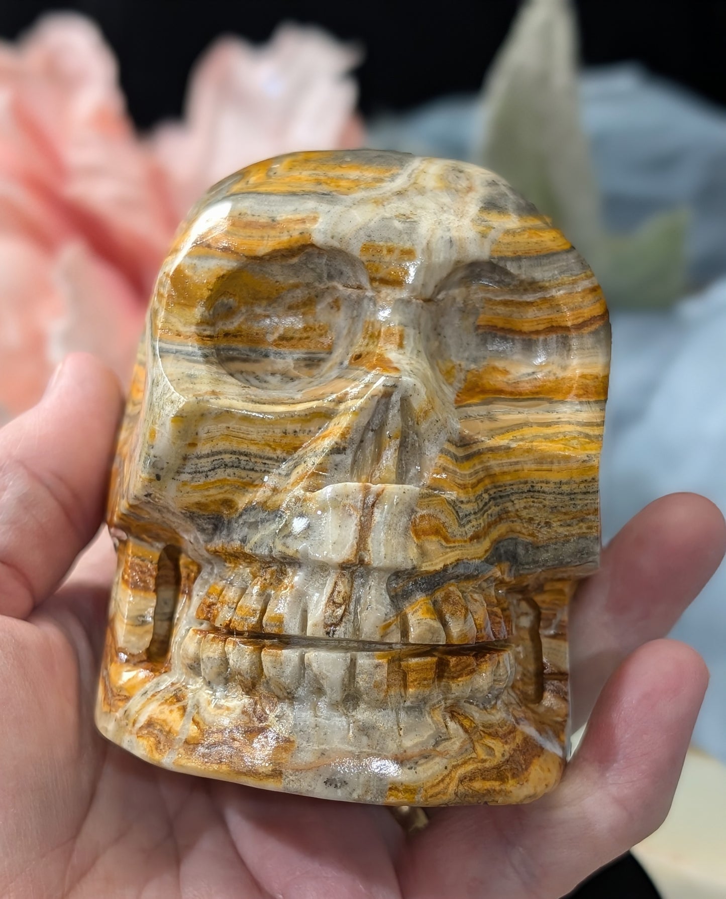 Pakistani Bumblebee Jasper Skull