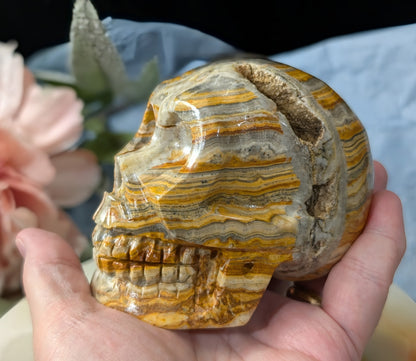 Pakistani Bumblebee Jasper Skull