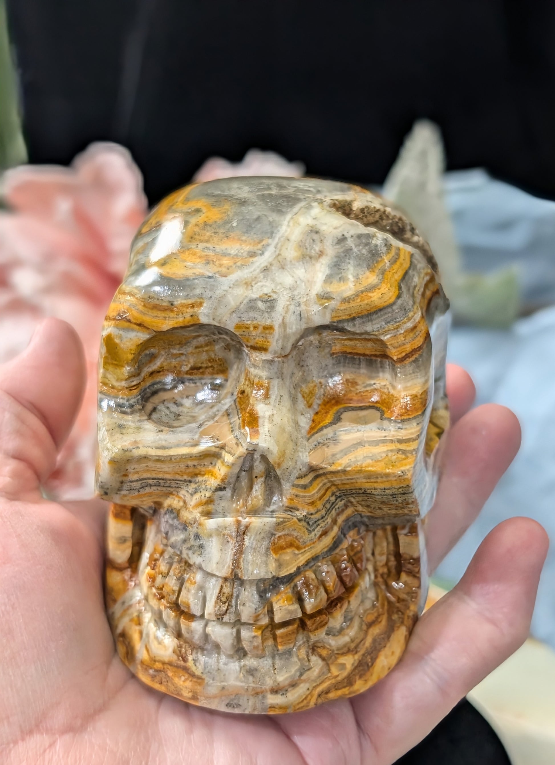 Pakistani Bumblebee Jasper Skull