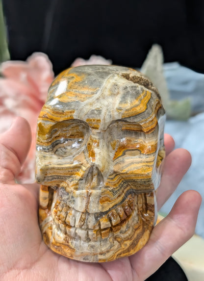 Pakistani Bumblebee Jasper Skull