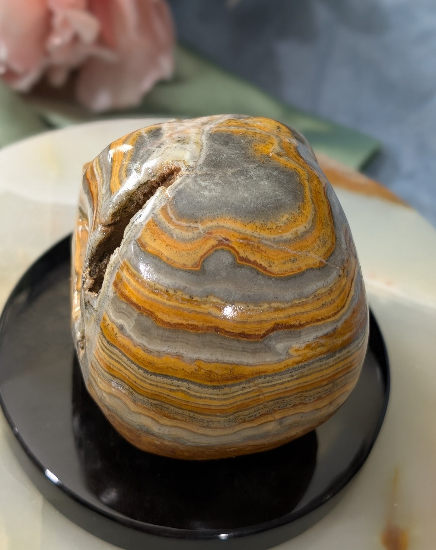Pakistani Bumblebee Jasper Skull