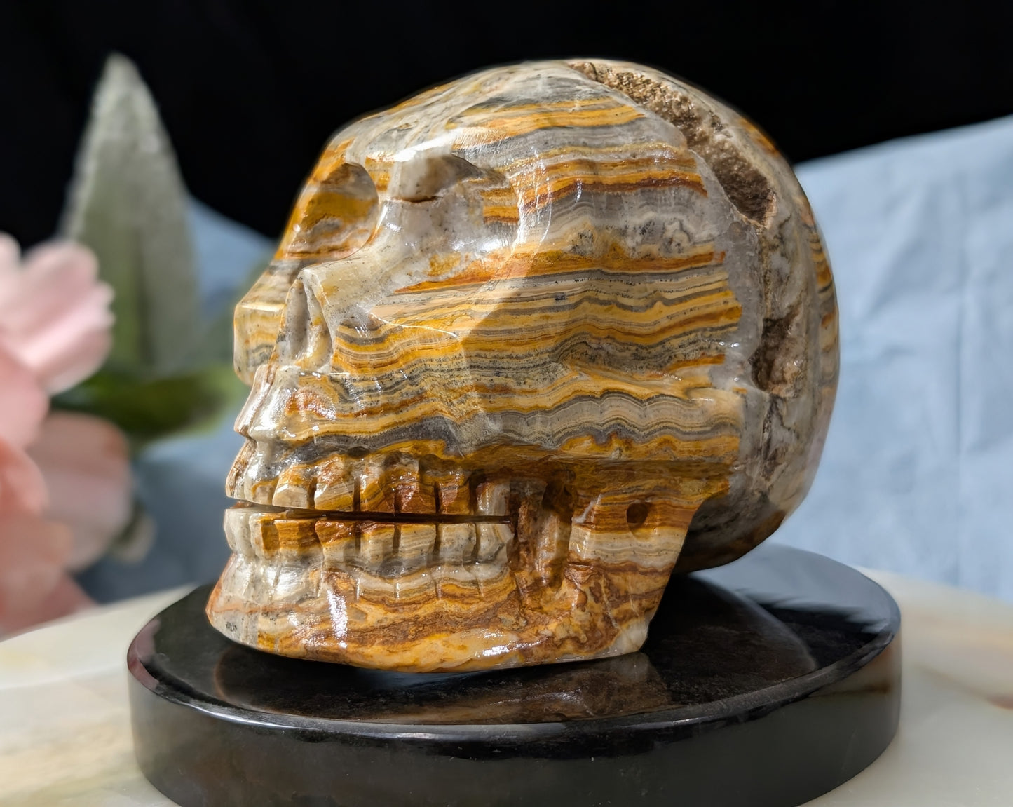 Pakistani Bumblebee Jasper Skull