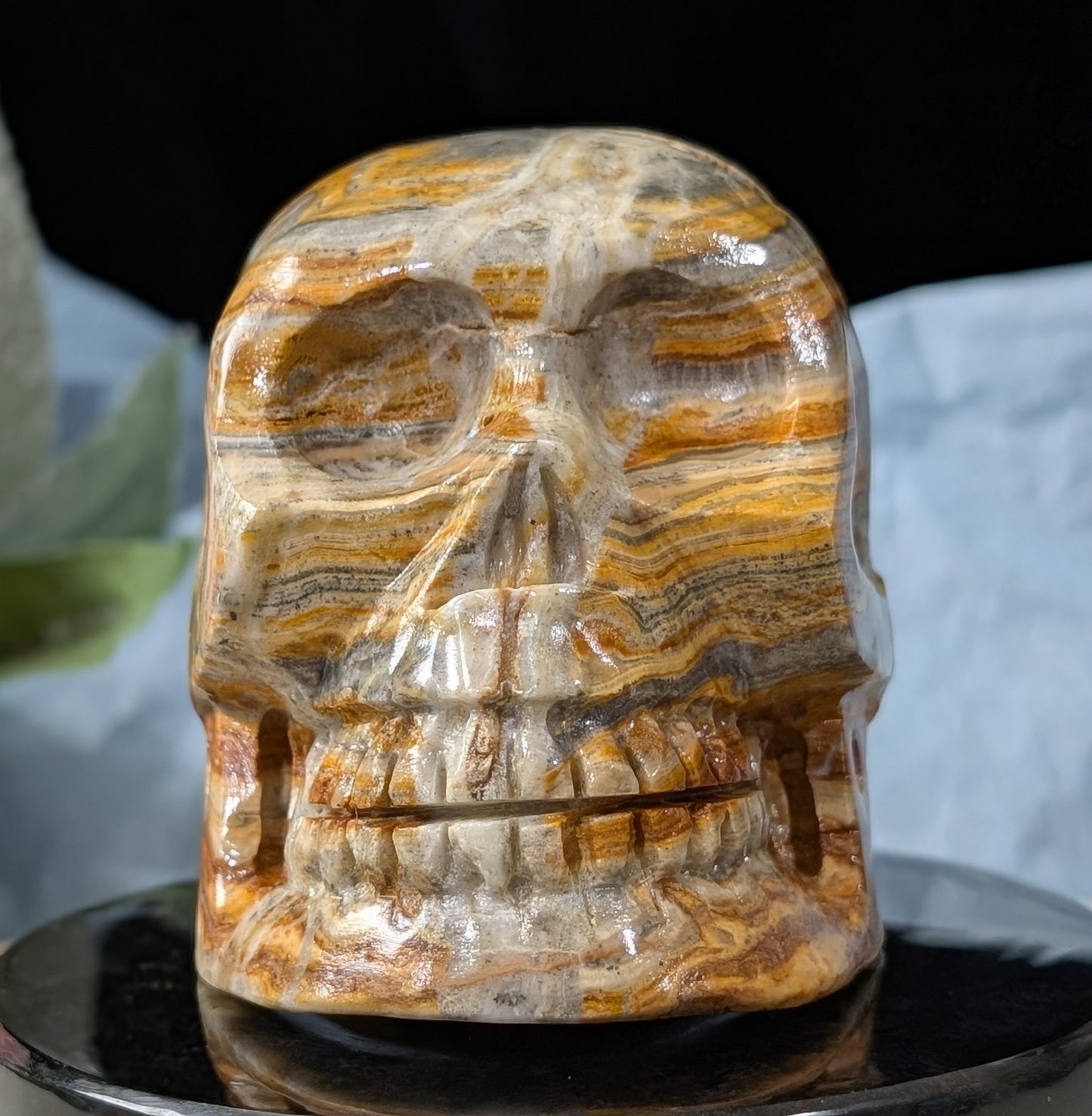 Pakistani Bumblebee Jasper Skull