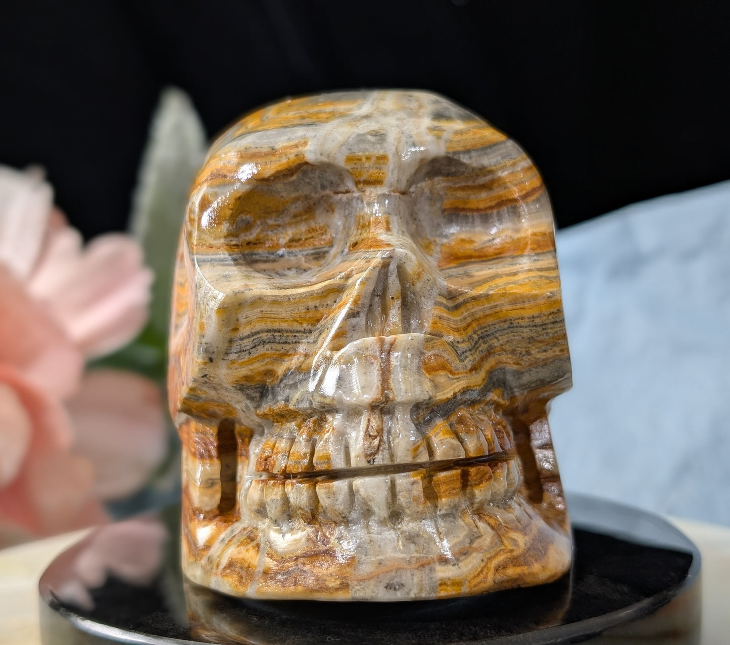Pakistani Bumblebee Jasper Skull