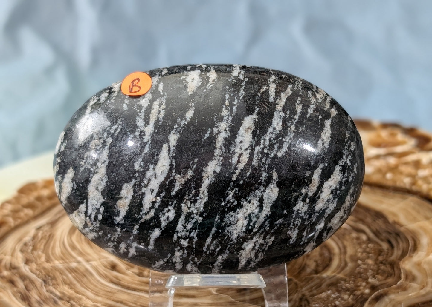 Pakistani Zebra Jasper Palm Stone
