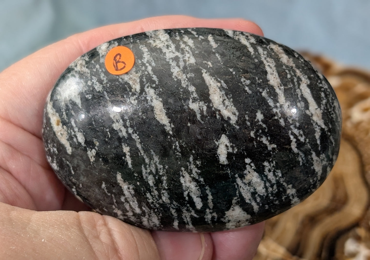 Pakistani Zebra Jasper Palm Stone