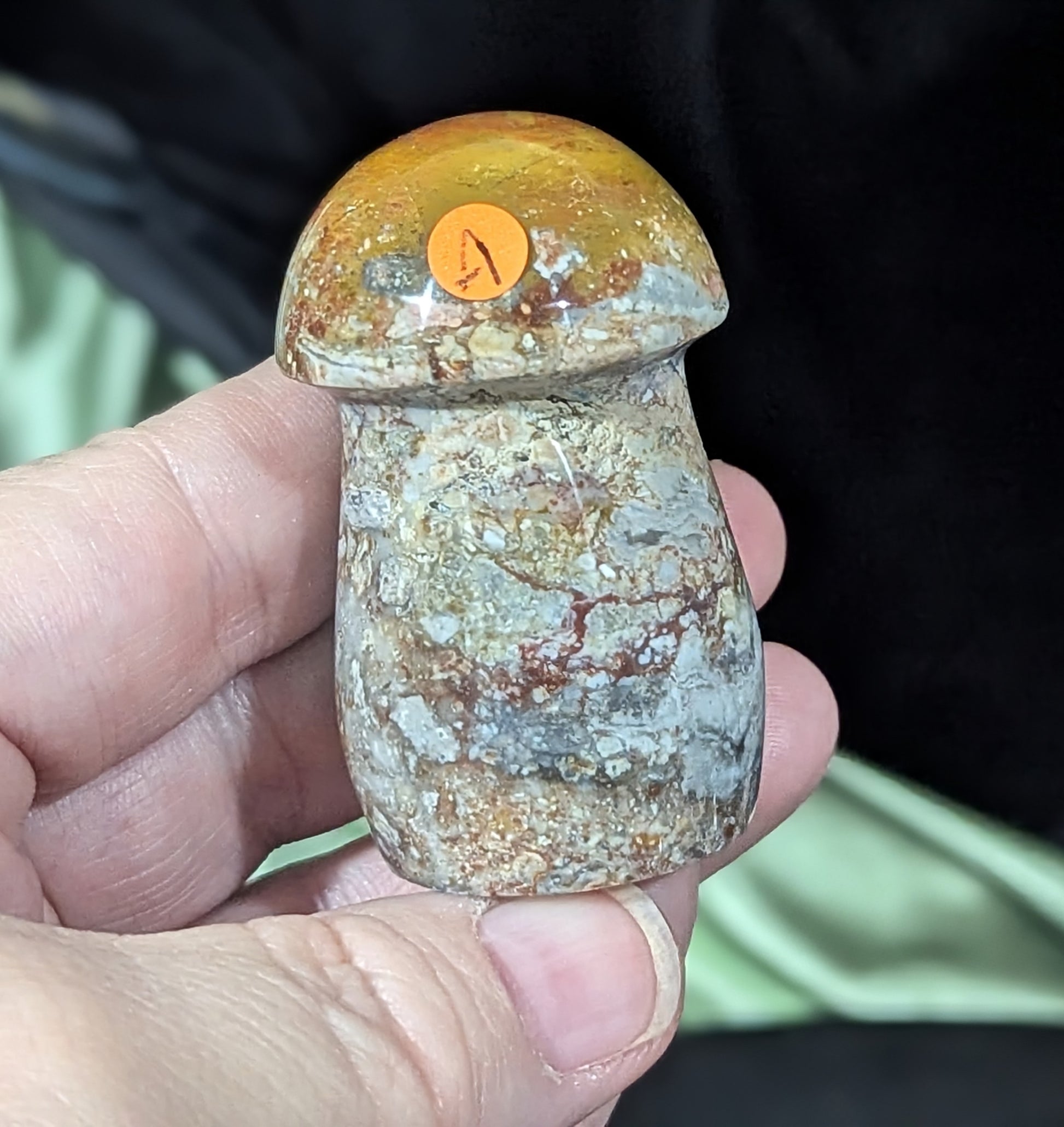 Petrified Wood Mushroom