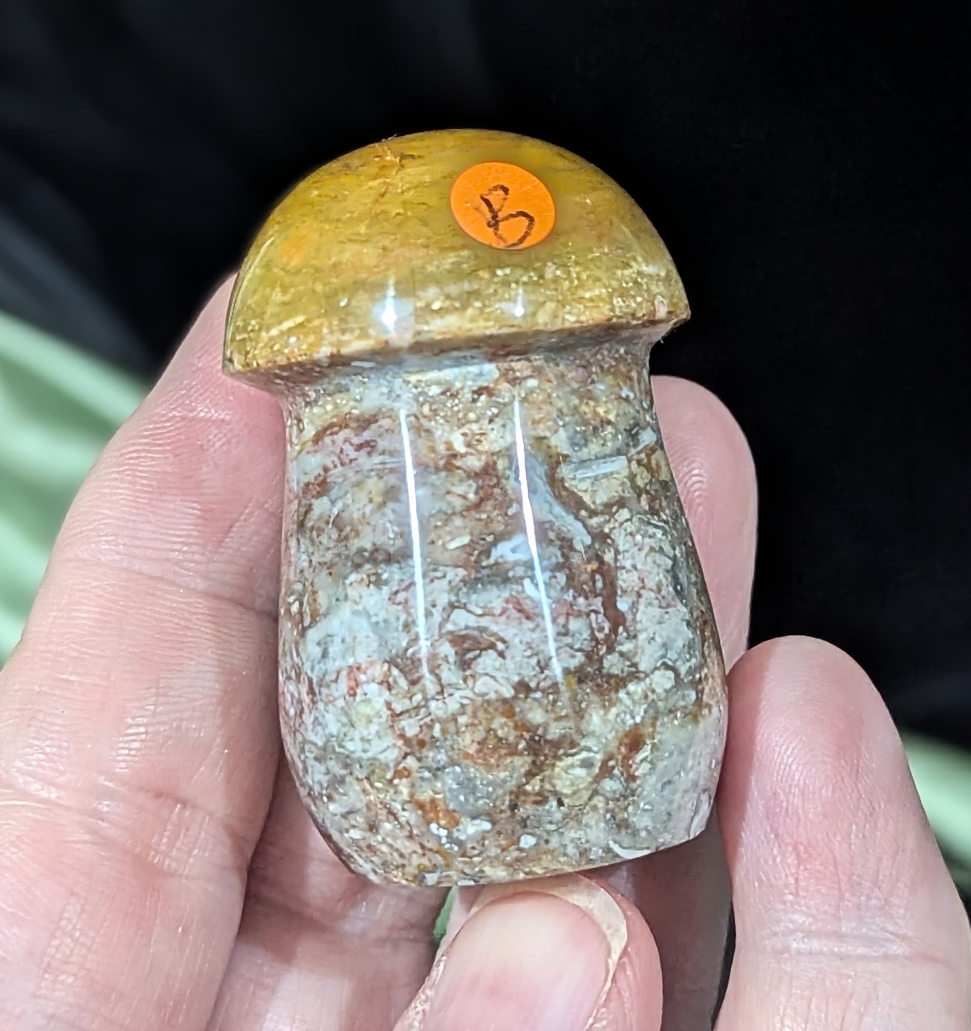 Petrified Wood Mushroom