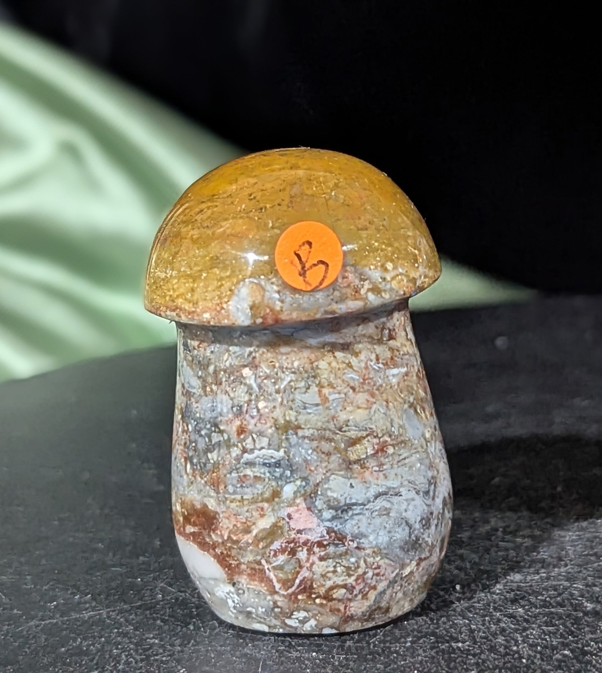 Petrified Wood Mushroom