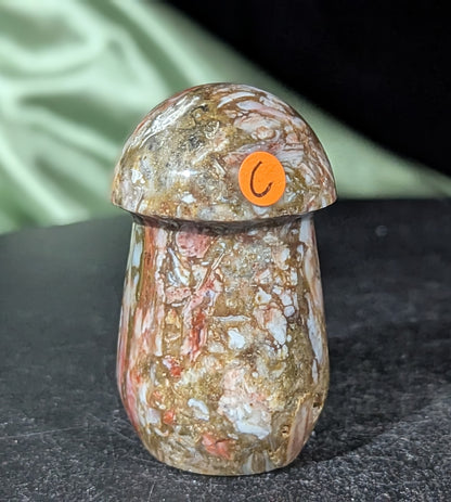 Petrified Wood Mushroom