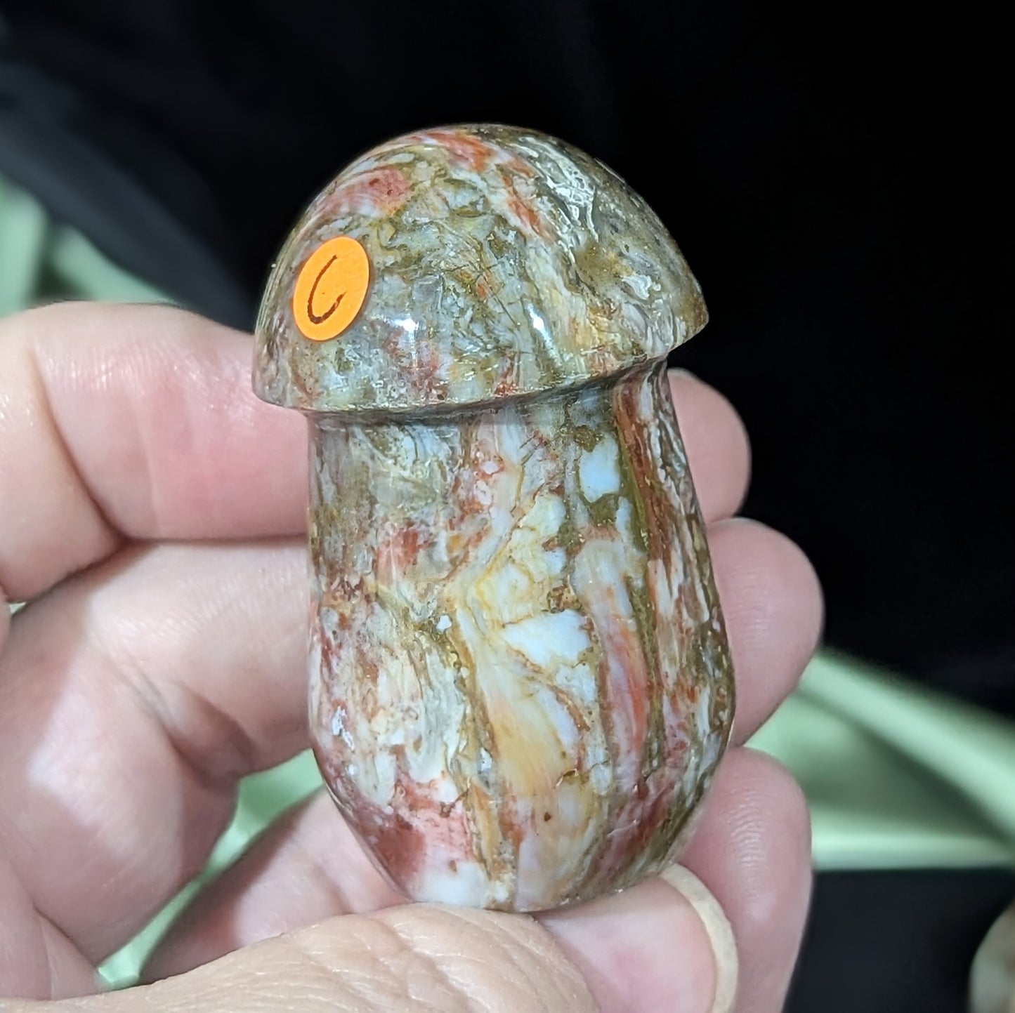 Petrified Wood Mushroom