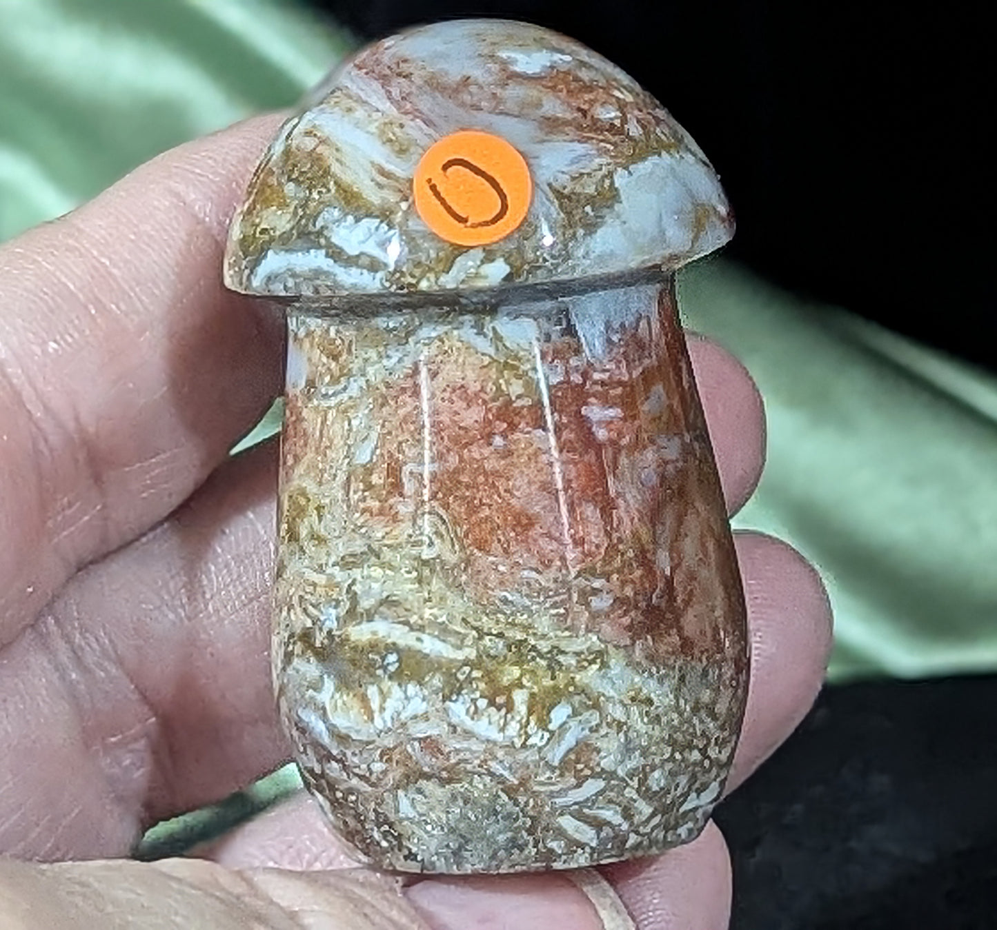 Petrified Wood Mushroom
