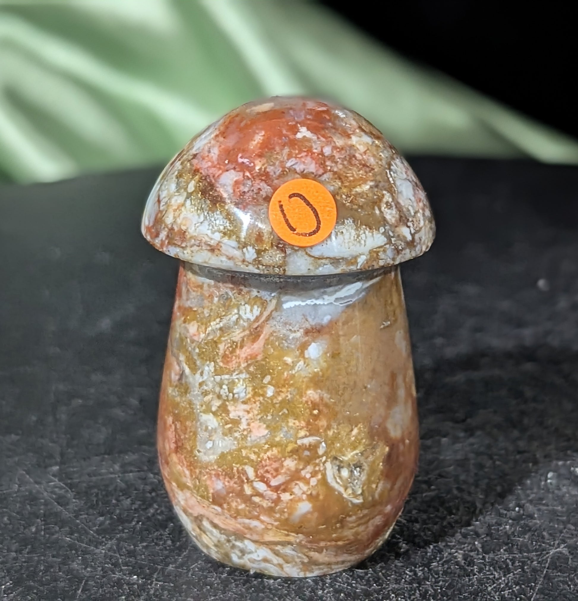 Petrified Wood Mushroom