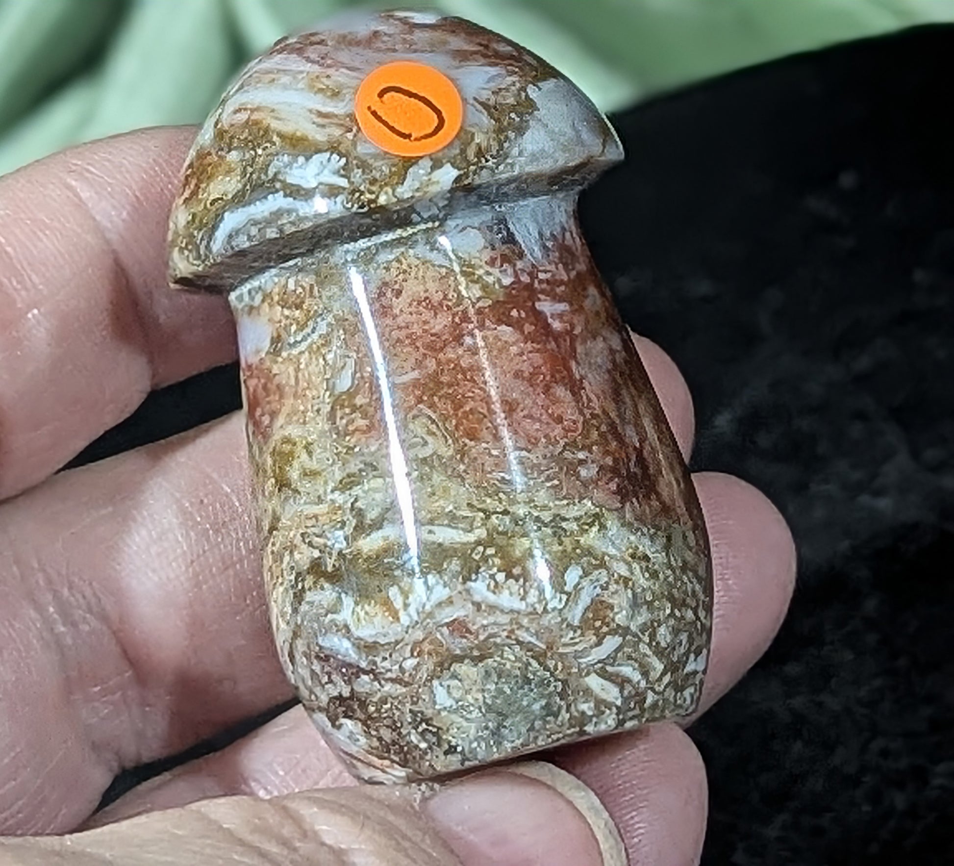 Petrified Wood Mushroom