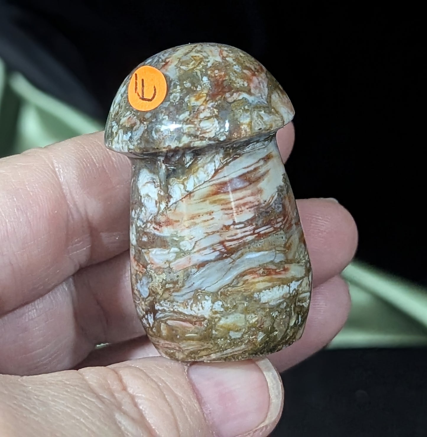 Petrified Wood Mushroom