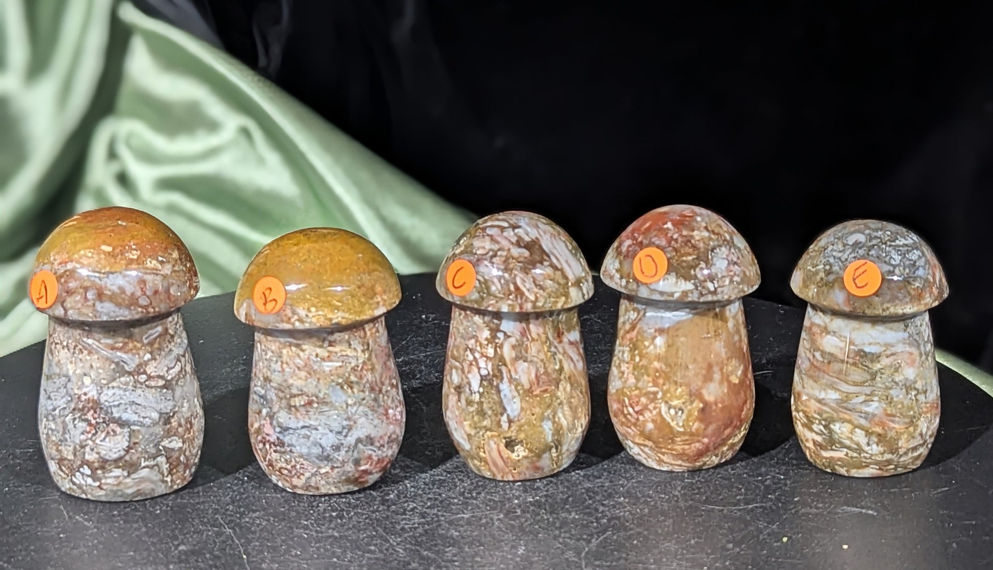 Petrified Wood Mushrooms