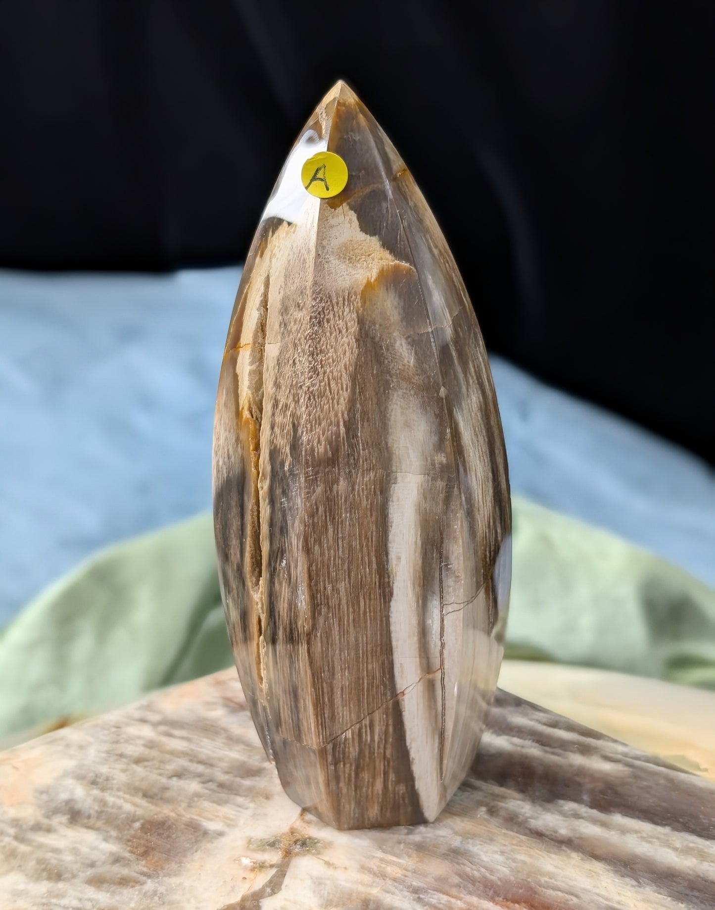 Petrified Wood Spear Point Flame
