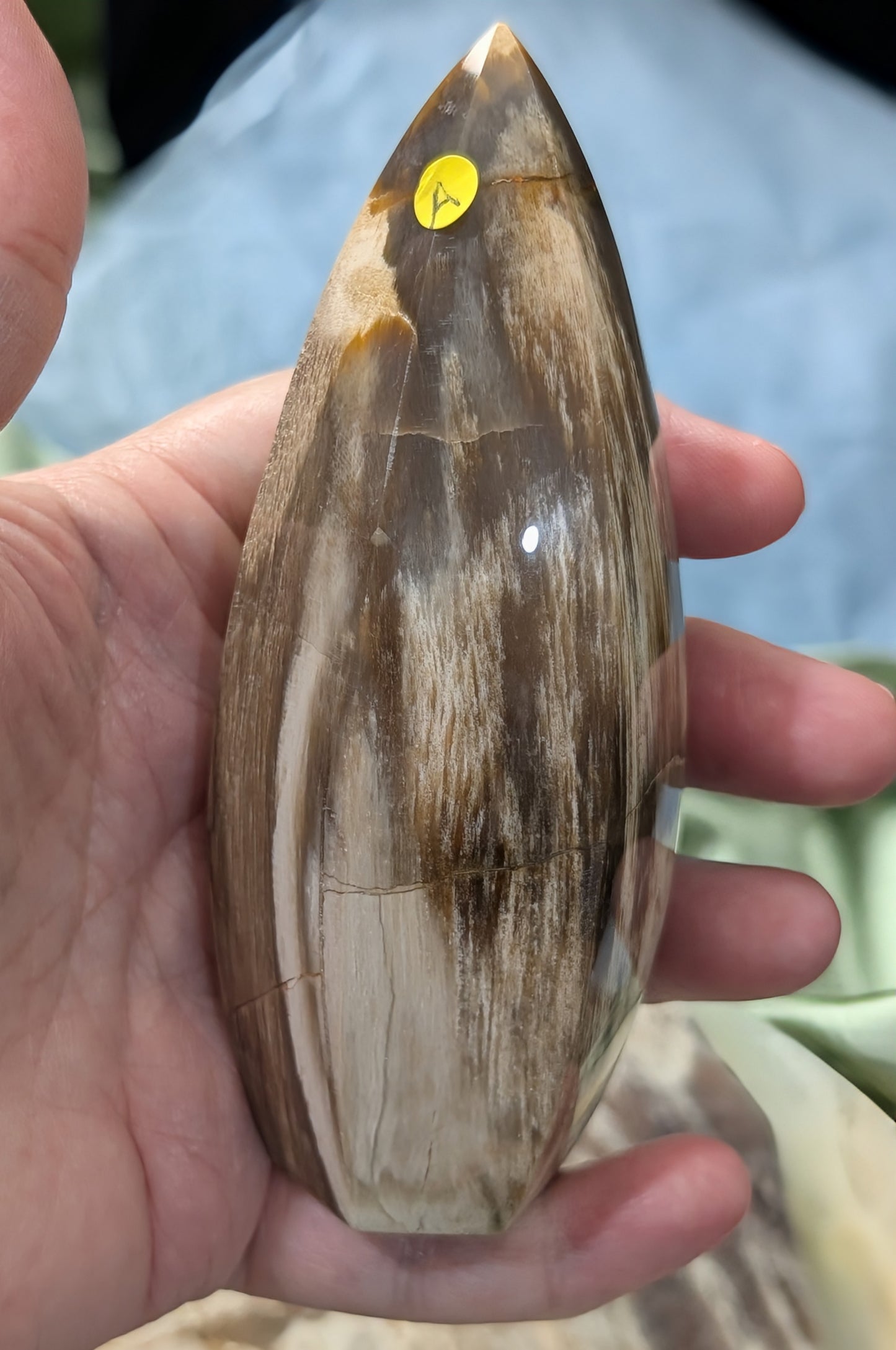 Petrified Wood Spear Point Flame